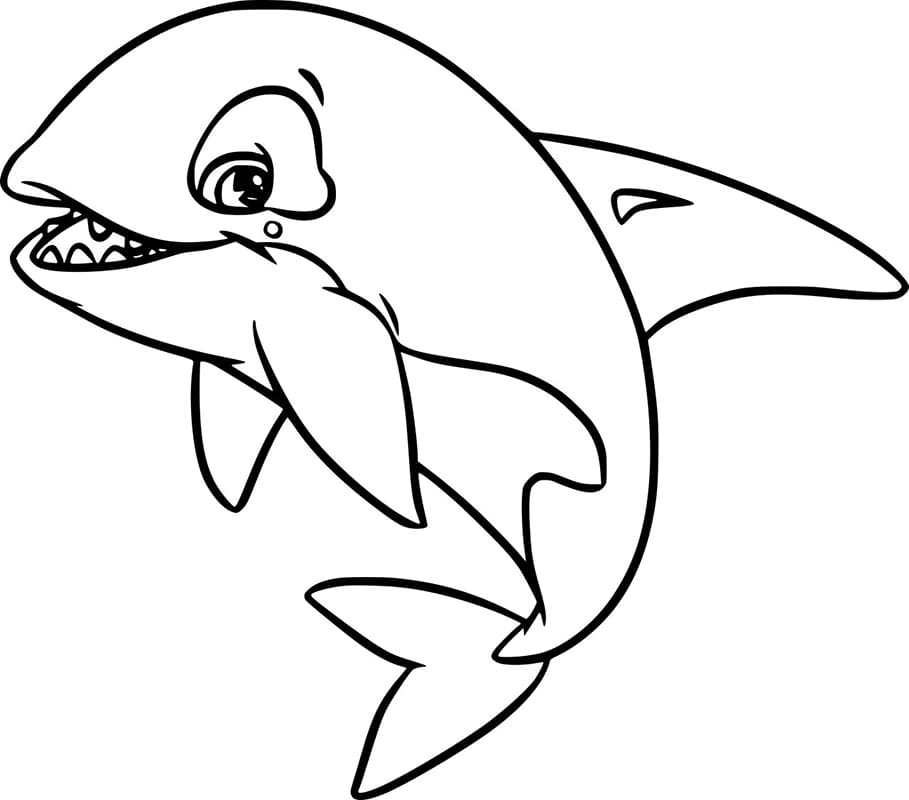 Desenho de uma Orca Muito Fofa para Colorir