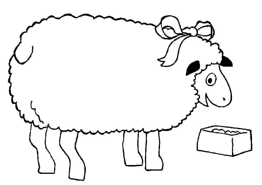 Desenho de Linda Ovelha para Colorir