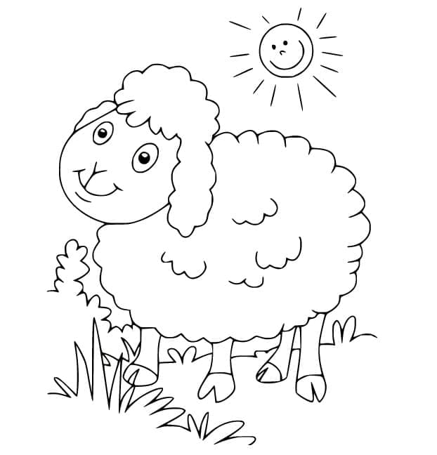 Desenho de Ovelha Animada para Colorir