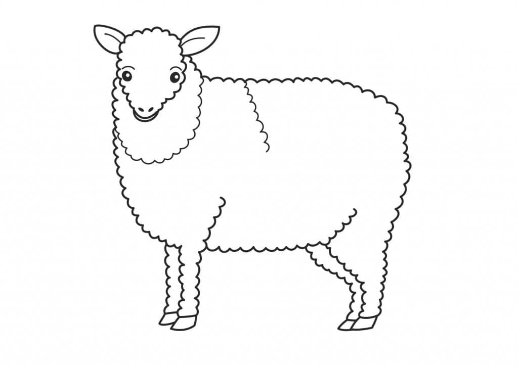 Desenho de Ovelha Grátis para Crianças para Colorir