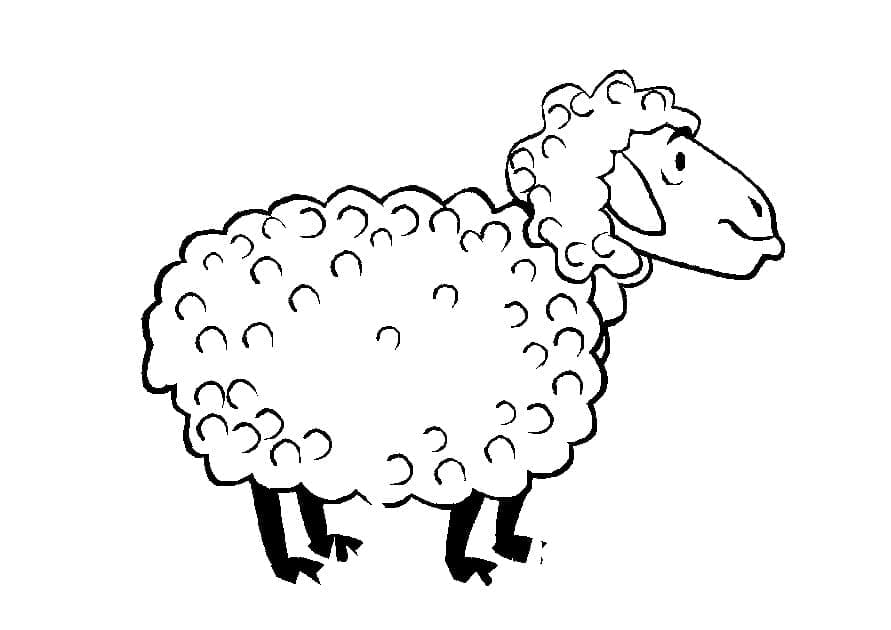 Desenho de Ovelha Imprimivel para Colorir