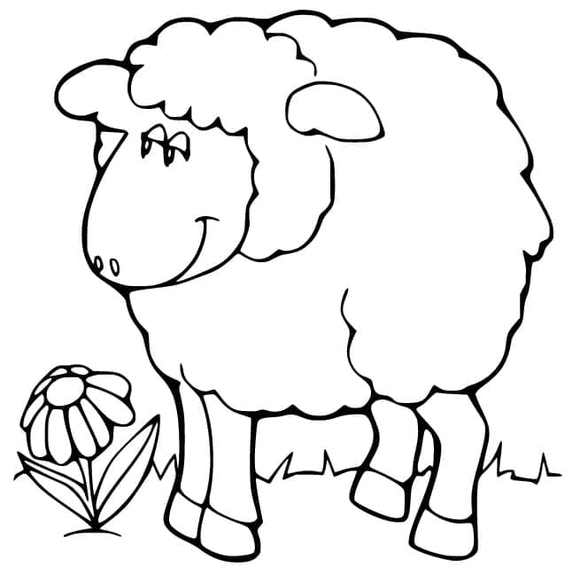 Desenho de Ovelha Sorridente para Colorir