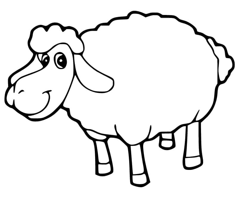 Desenho de Ovelha de Desenho Animado para Colorir