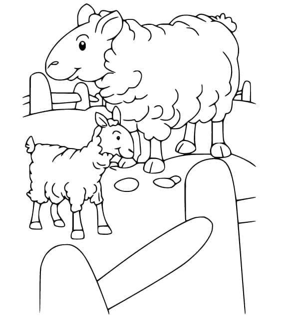 Desenho de Ovelha e Cordeiro para Colorir