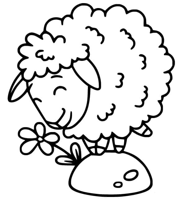 Desenho de Ovelha e Flor para Colorir