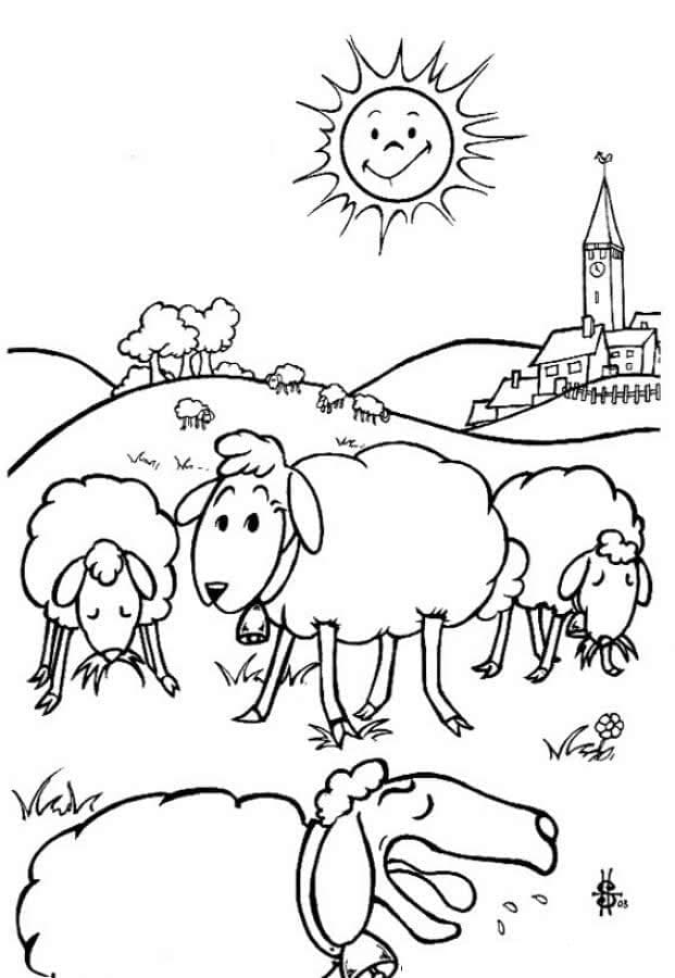 Desenho de Rebanho de Ovelhas para Colorir