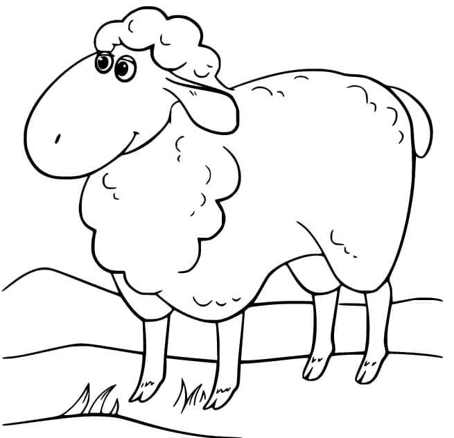 Desenho de uma Ovelha Adorável para Colorir
