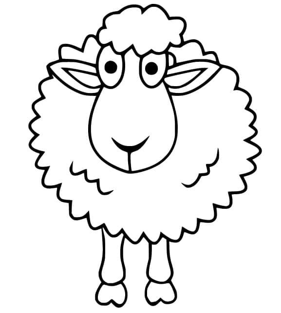 Desenho Ovelha Bonita para Colorir