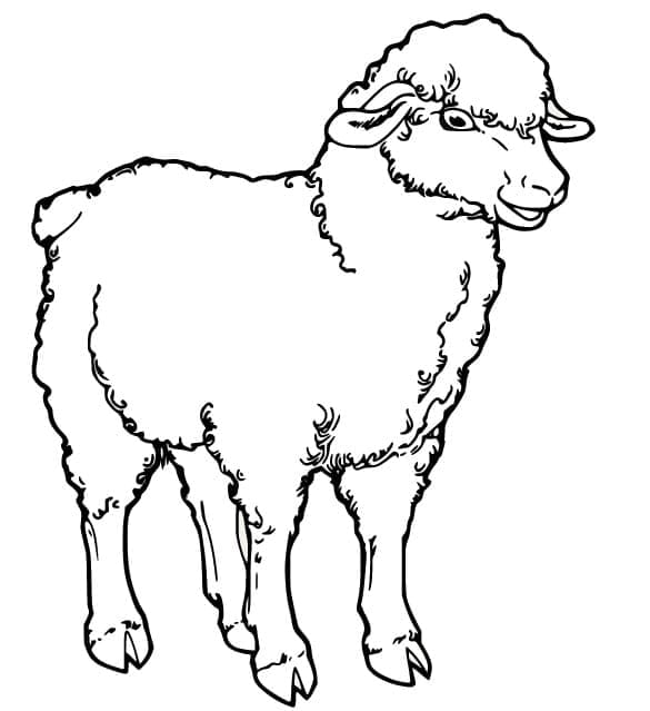 Desenho Ovelha para Colorir Giz de Cera