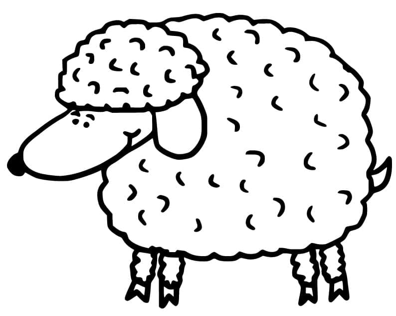 Desenho Ovelha para Colorir Lápis de Cor