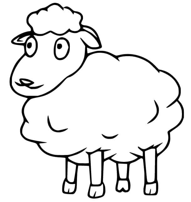 Desenho Ovelha Simples para Colorir