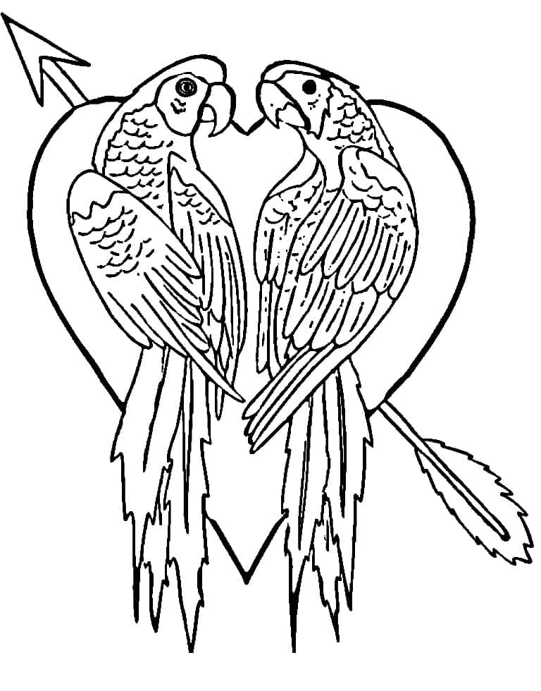 Desenho de Casal de Papagaios para Colorir
