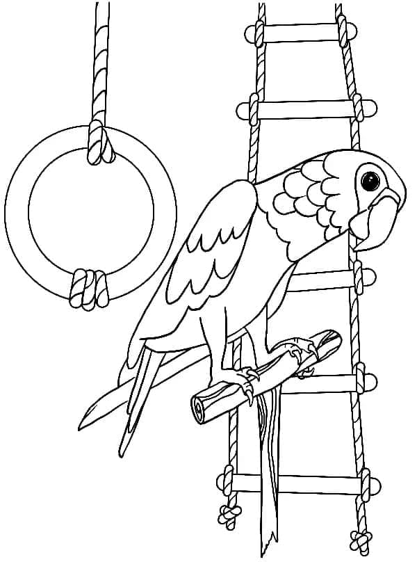 Desenho de Papagaio Alegre para Colorir