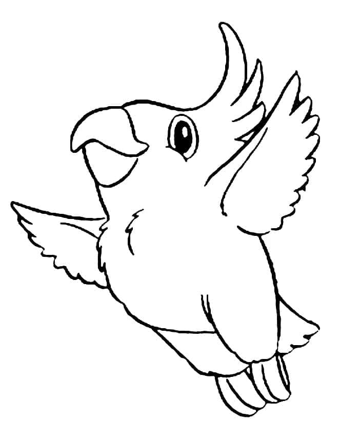 Desenho de Papagaio Fofo para Colorir