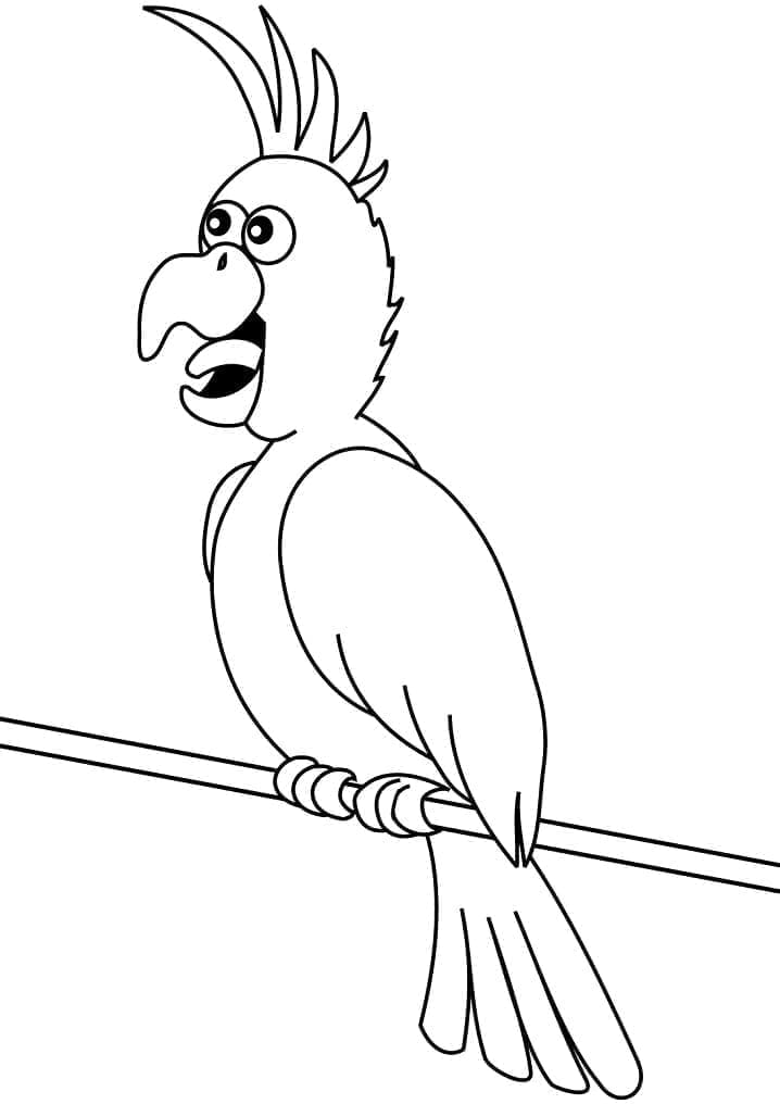 Desenho de Papagaio Muito Feliz para Colorir