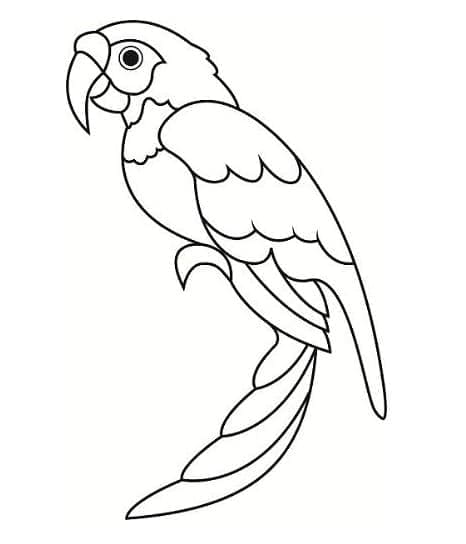 Desenho de Papagaio Muito Simples para Colorir