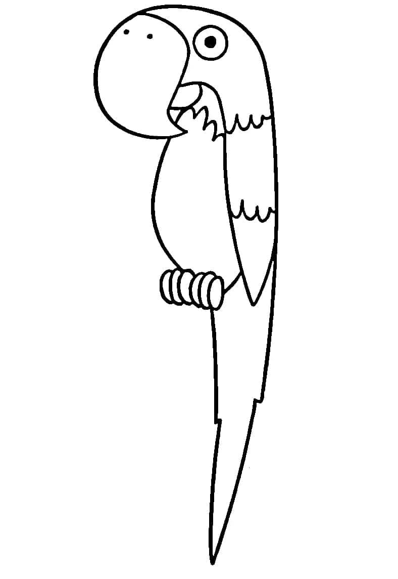Desenho de Papagaio Simples para Colorir