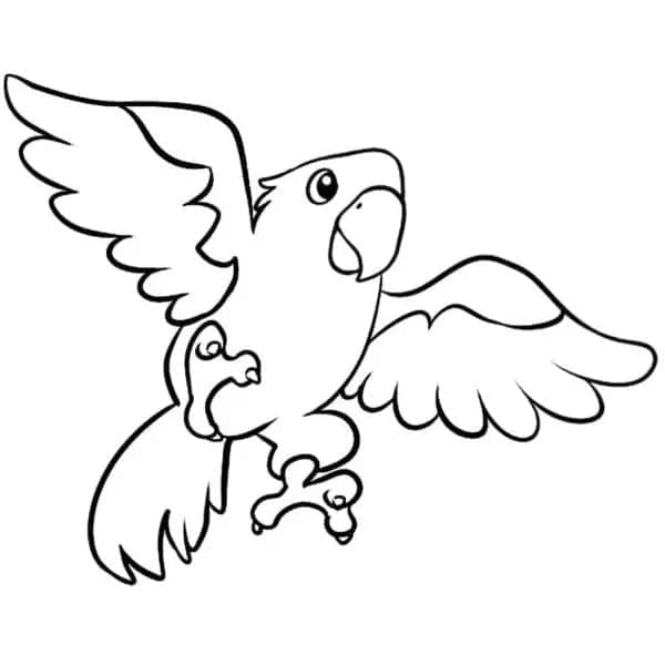 Desenho de Papagaio Voador para Colorir