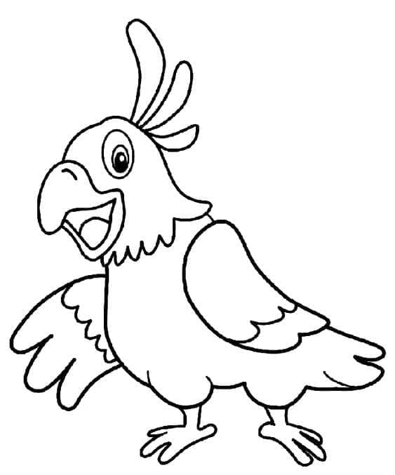 Desenho de Papagaio de Desenho Animado para Colorir