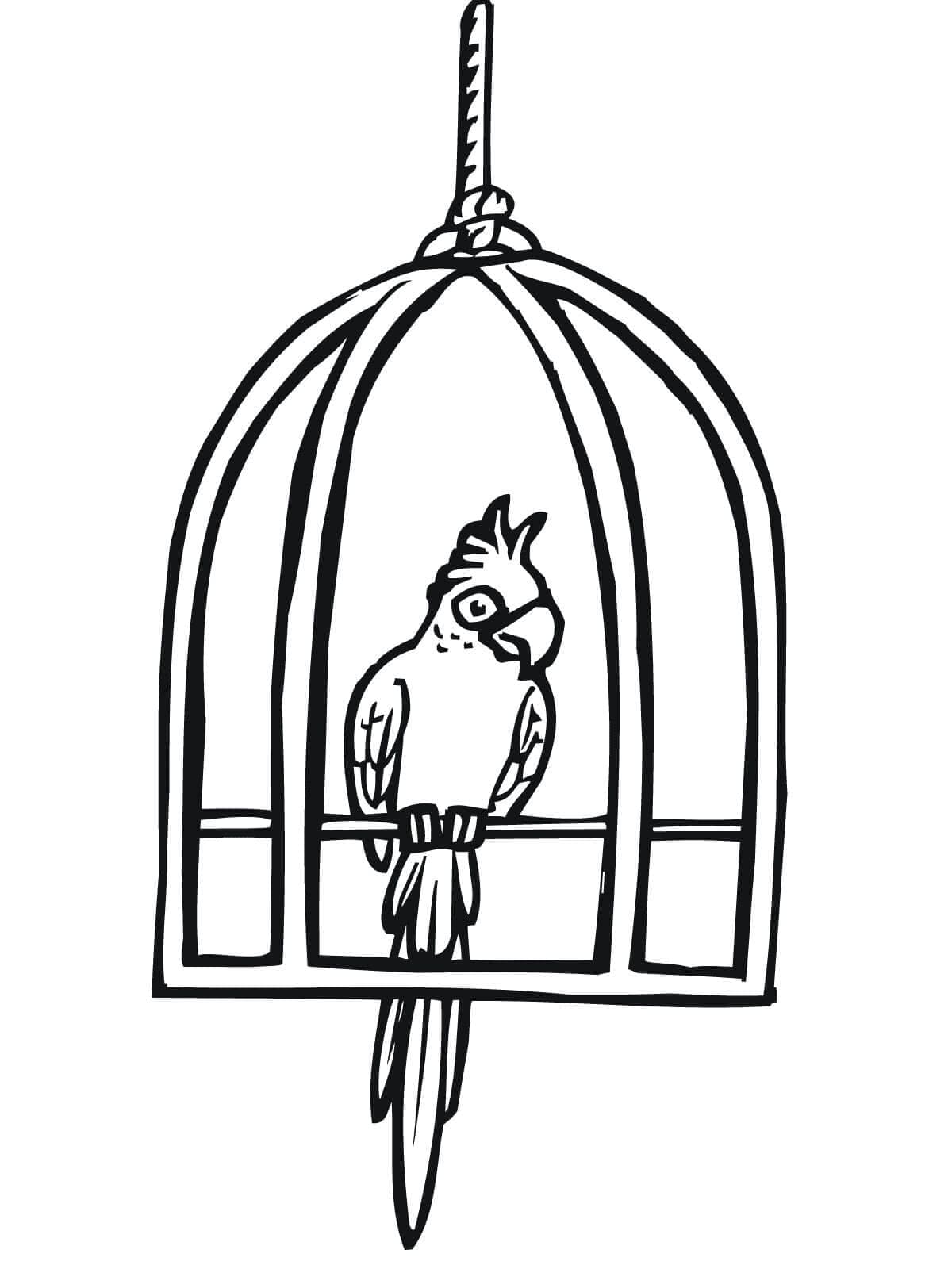Desenho de Papagaio na Gaiola para Colorir