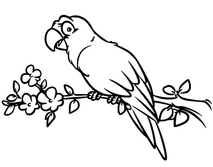 Desenho de Papagaio no Galho para Colorir