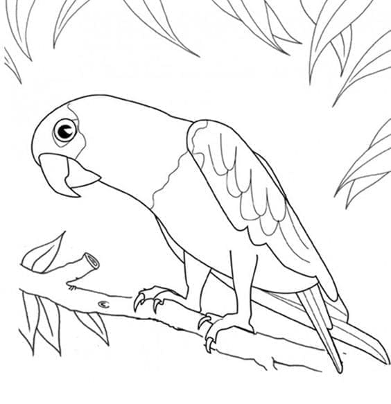 Desenho de um Papagaio Alegre para Colorir