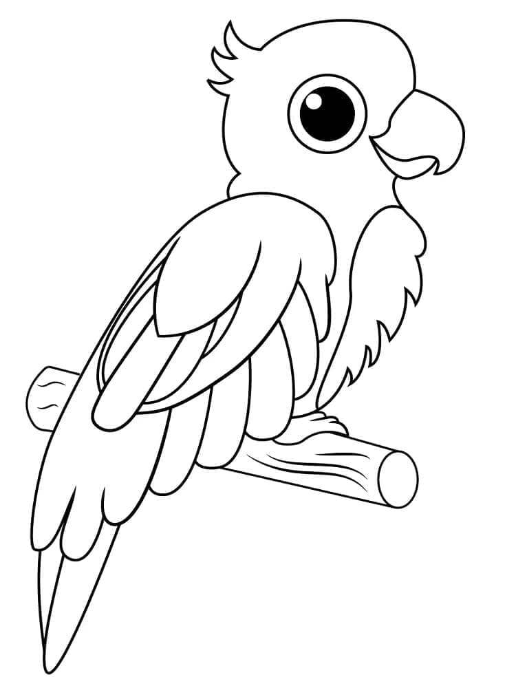 Desenho de um Papagaio Fofo para Colorir