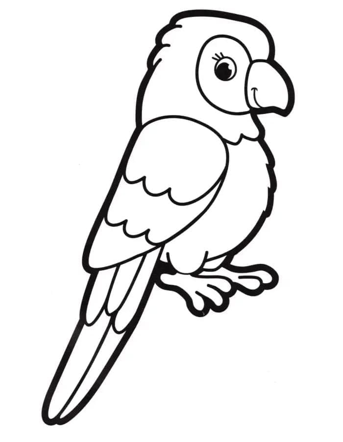 Desenho de um Papagaio Muito Feliz para Colorir
