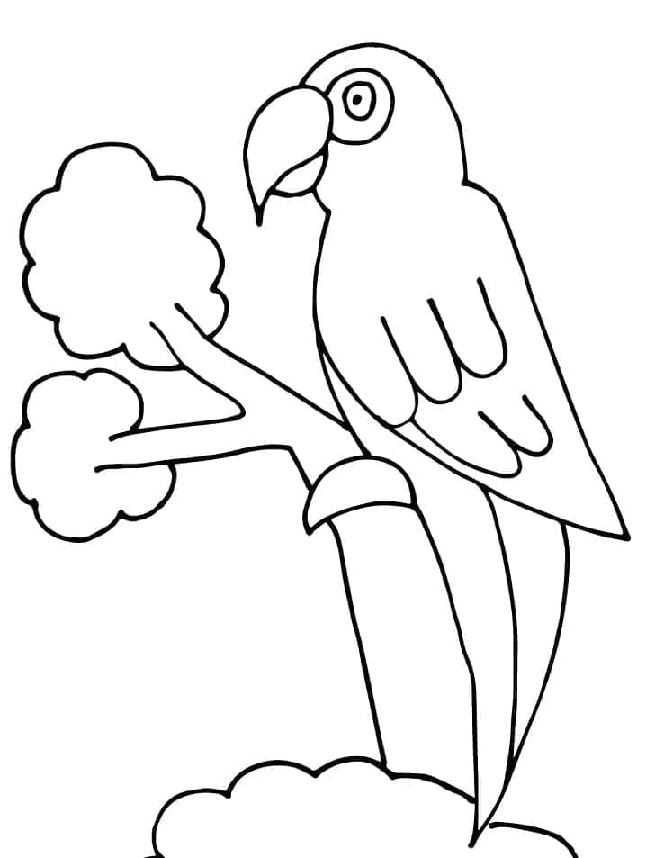 Desenho de um Papagaio Muito Simples para Colorir