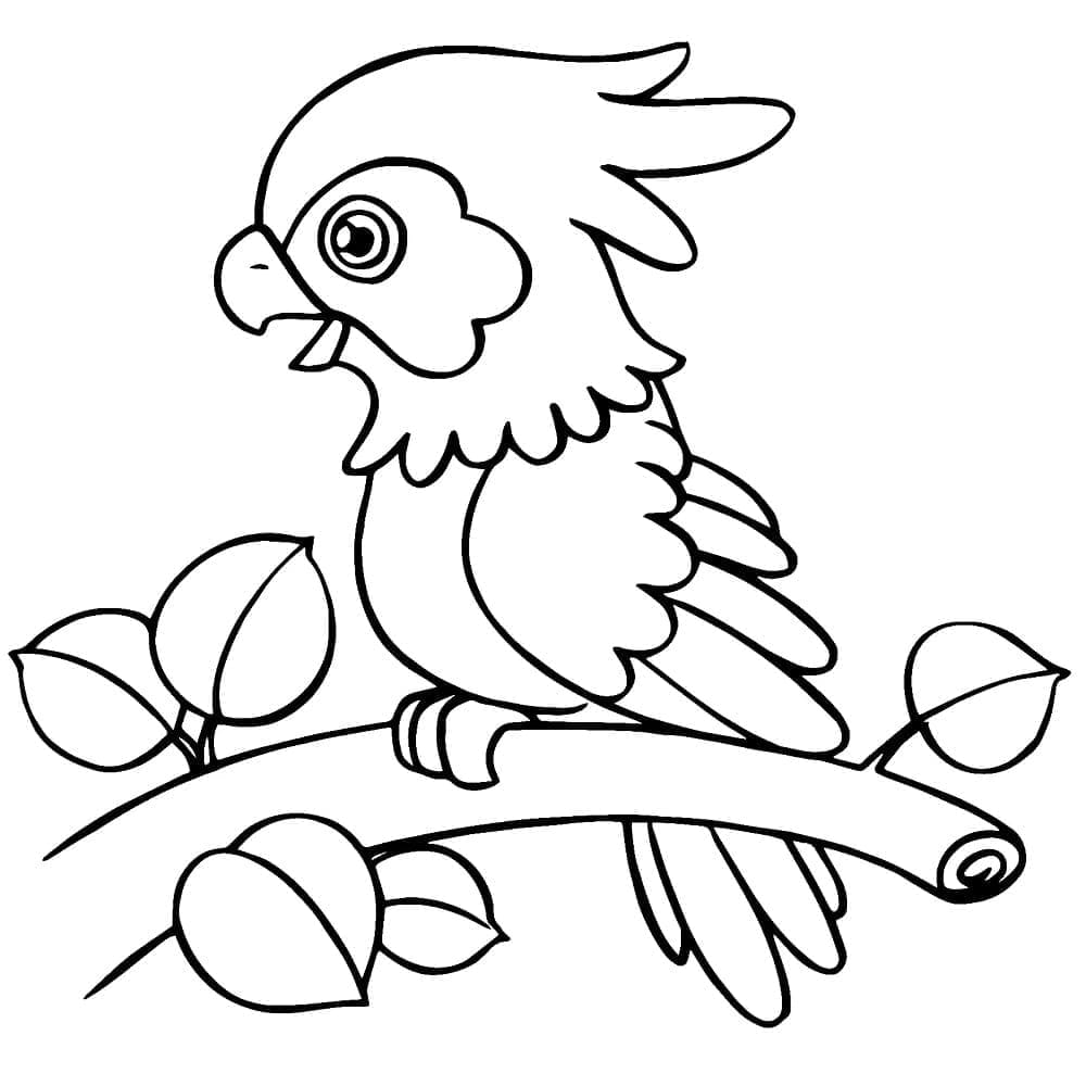 Desenho de um Pequeno Papagaio para Colorir