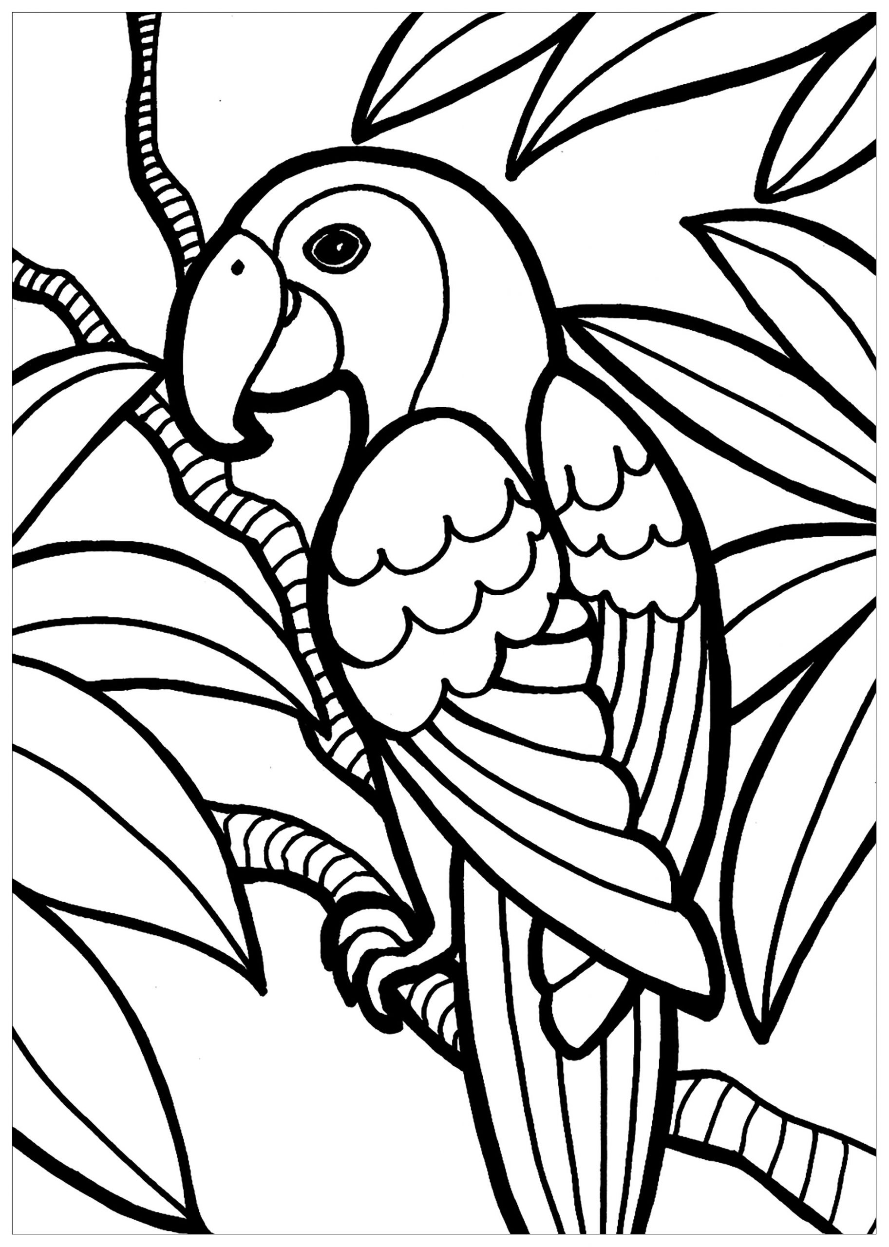 Desenho de Belíssimo Pássaro para Colorir