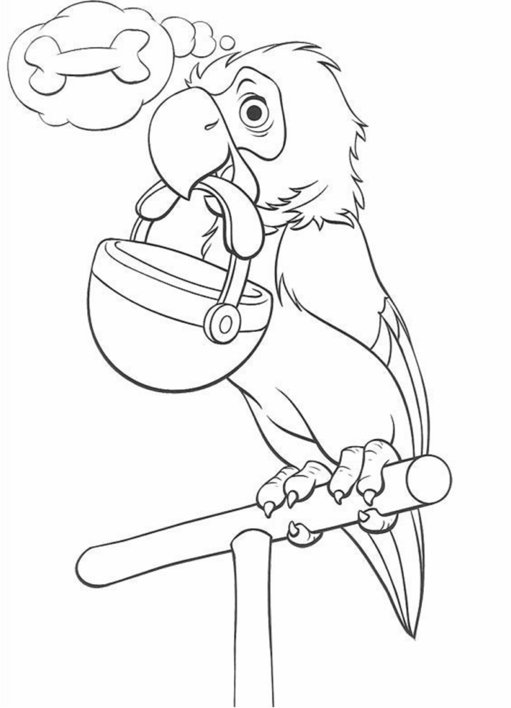 Desenho de Papagaio dos 101 Dálmatas para Colorir
