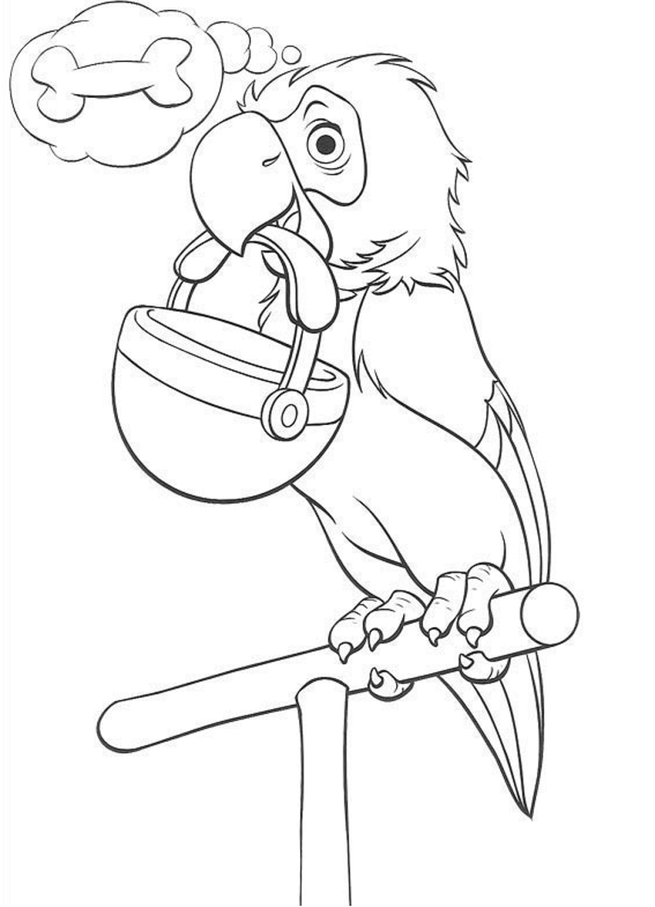 Desenho de Papagaio dos 101 Dálmatas para Colorir