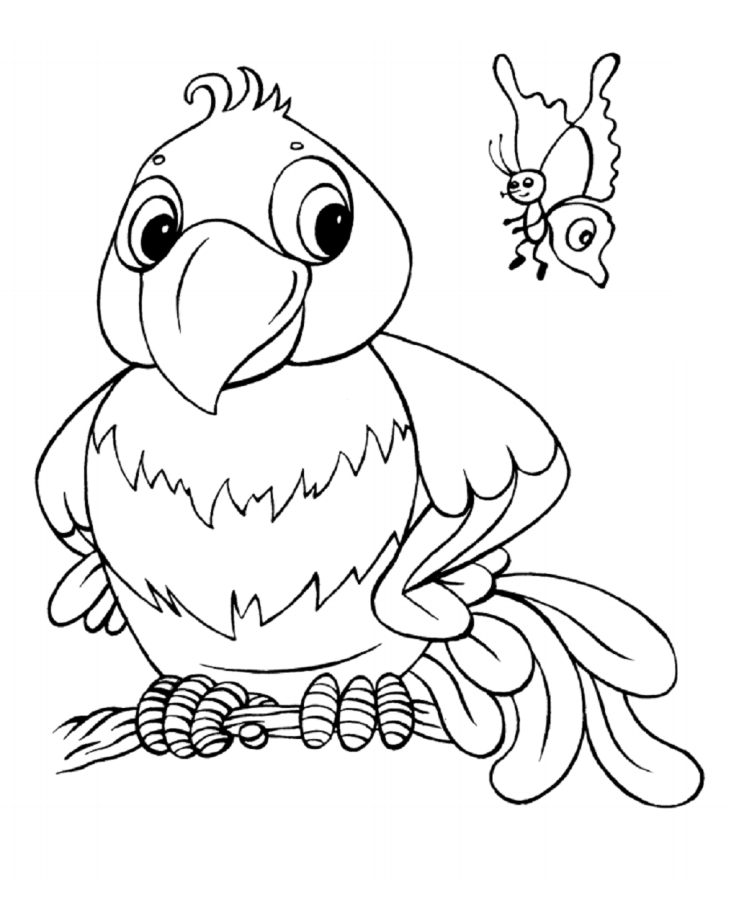 Desenho de Papagaio e Borboleta para Colorir