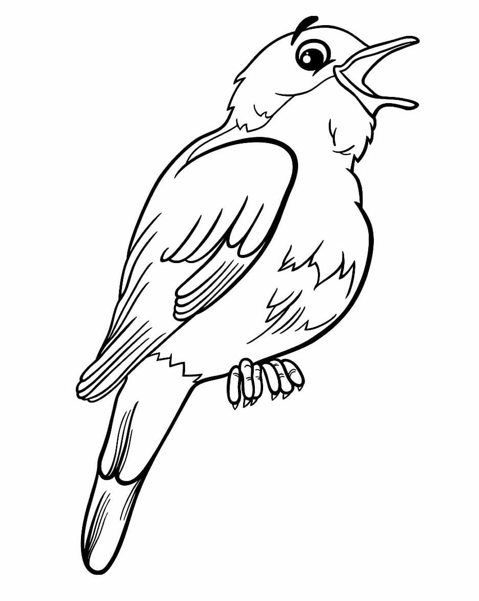 Desenho de Passarinho Feliz para Colorir