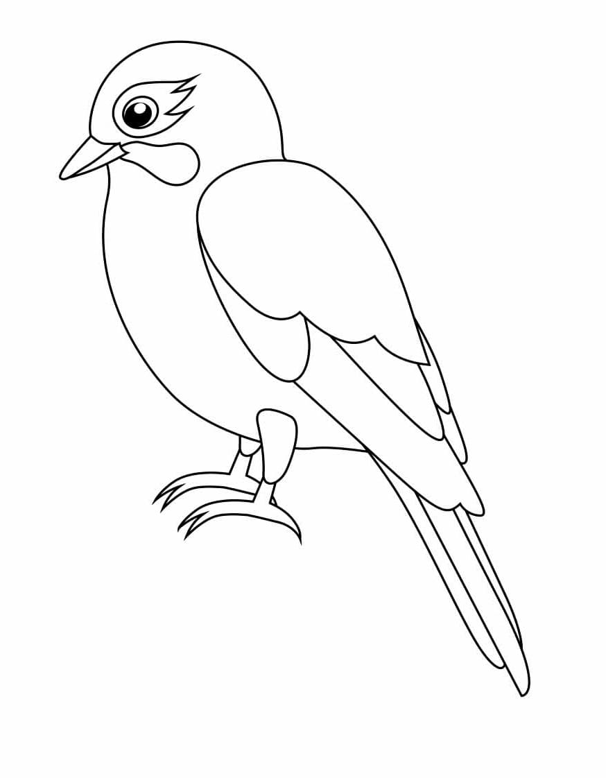 Desenho de Passarinho Fofo para Colorir
