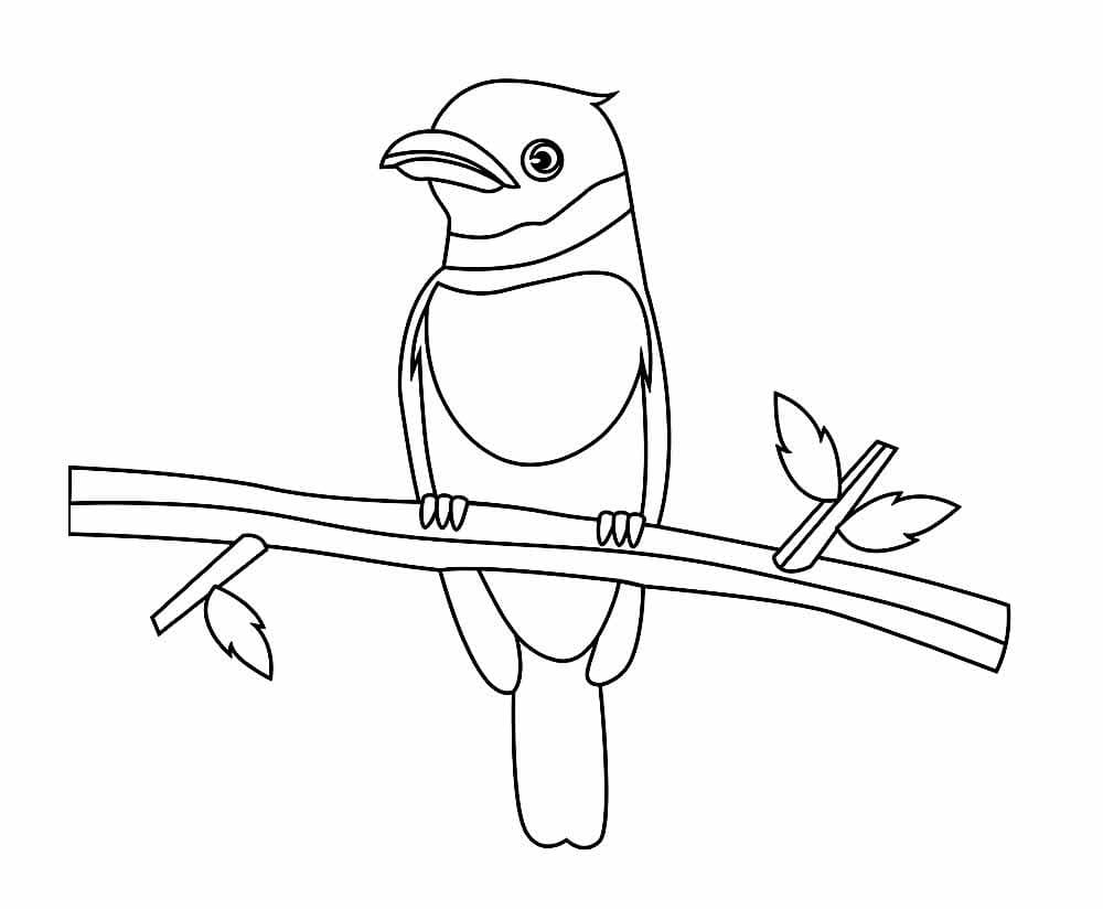 Desenho de Passarinho na Árvore para Colorir