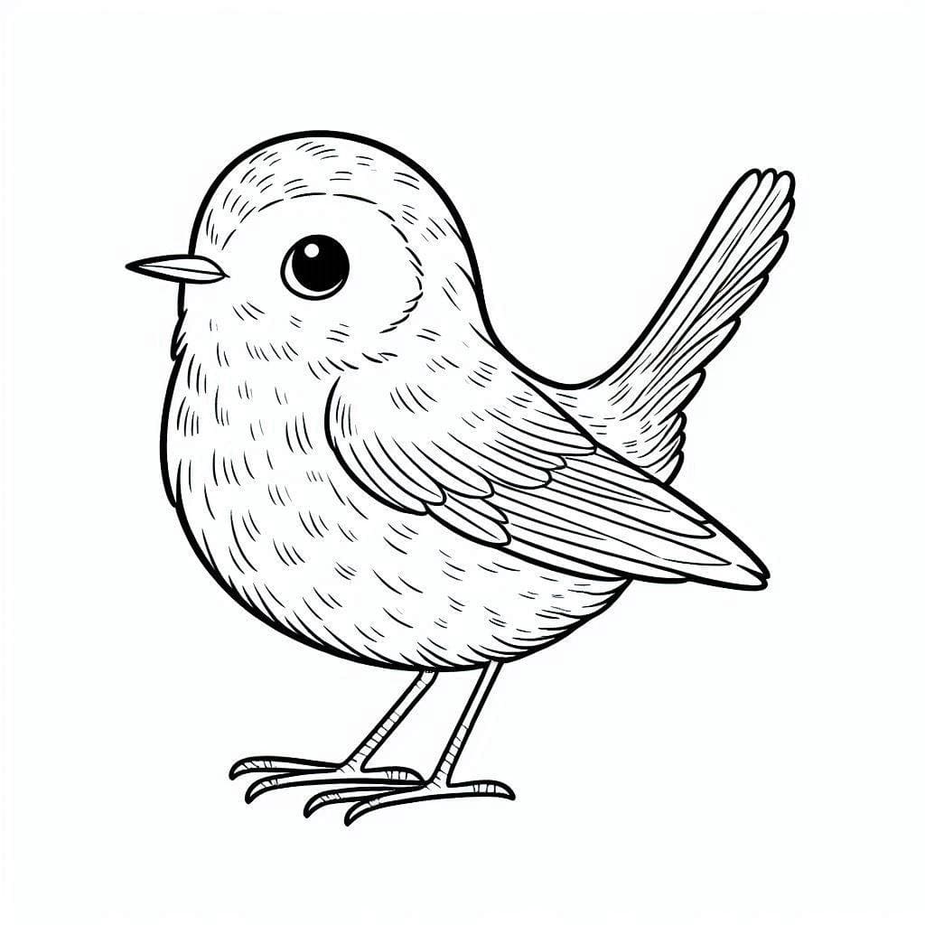 Desenho de um Lindo Passarinho para Colorir