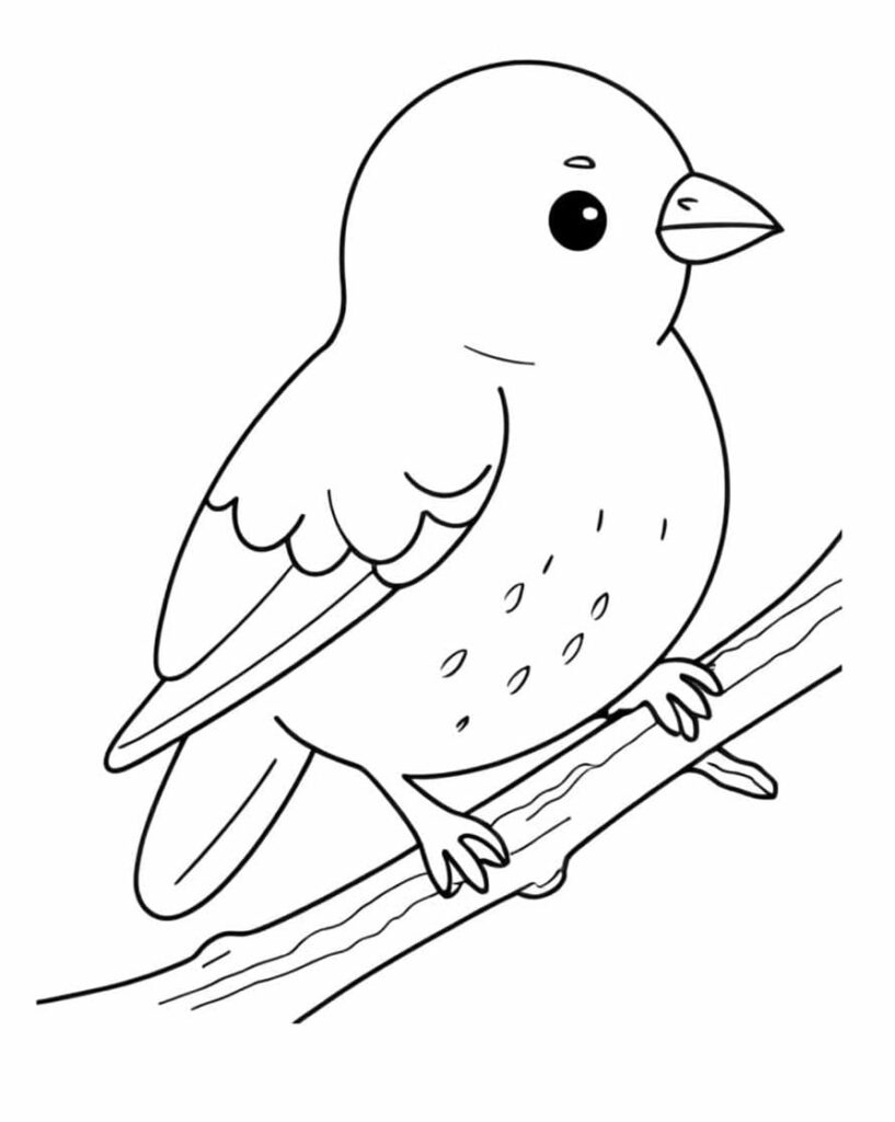Desenho de um Passarinho Fofo para Colorir