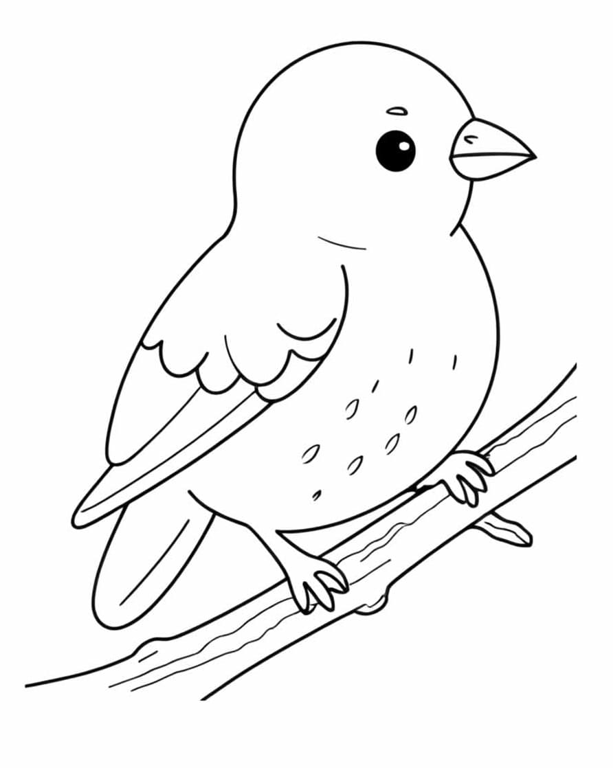 Desenho de um Passarinho Fofo para Colorir