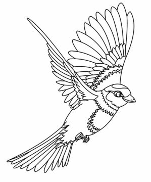 Desenho de Um Passarinho Voador para Colorir