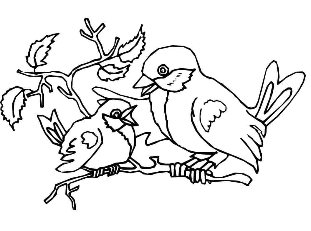 Desenho de Dois Pássaros para Colorir