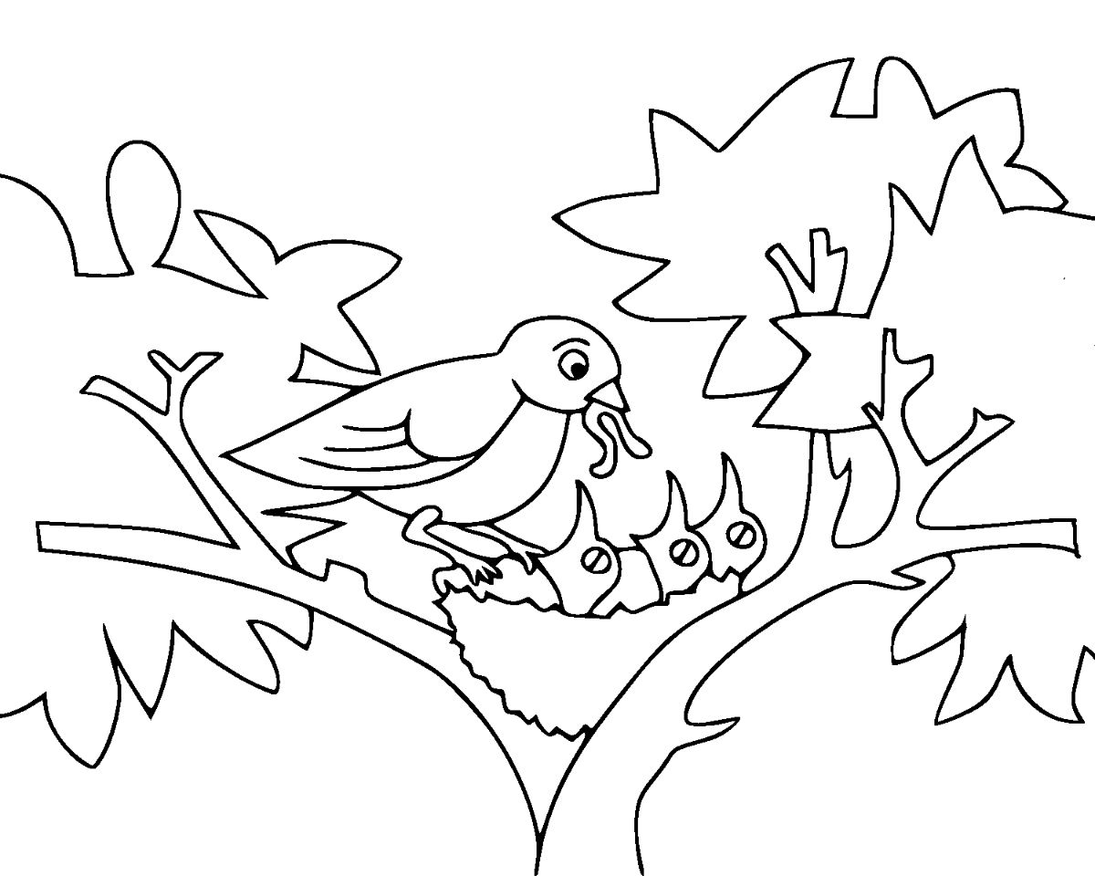 Desenho de Mamãe Pássaro Alimentando Filhotes para Colorir