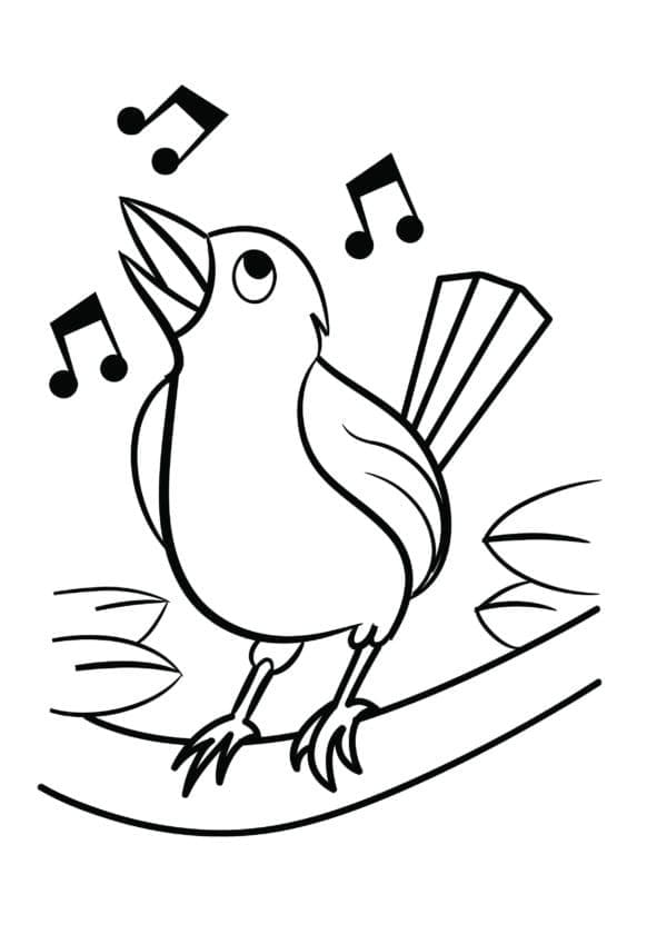 Desenho de Pássaro Cantando para Colorir