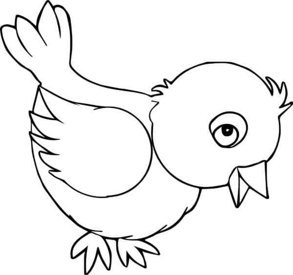 Desenho de Pássaro Feliz para Colorir