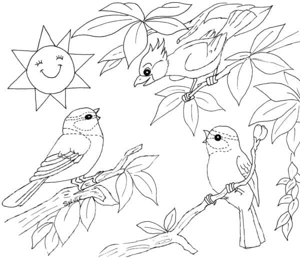 Desenho de Pássaros Adoráveis para Colorir