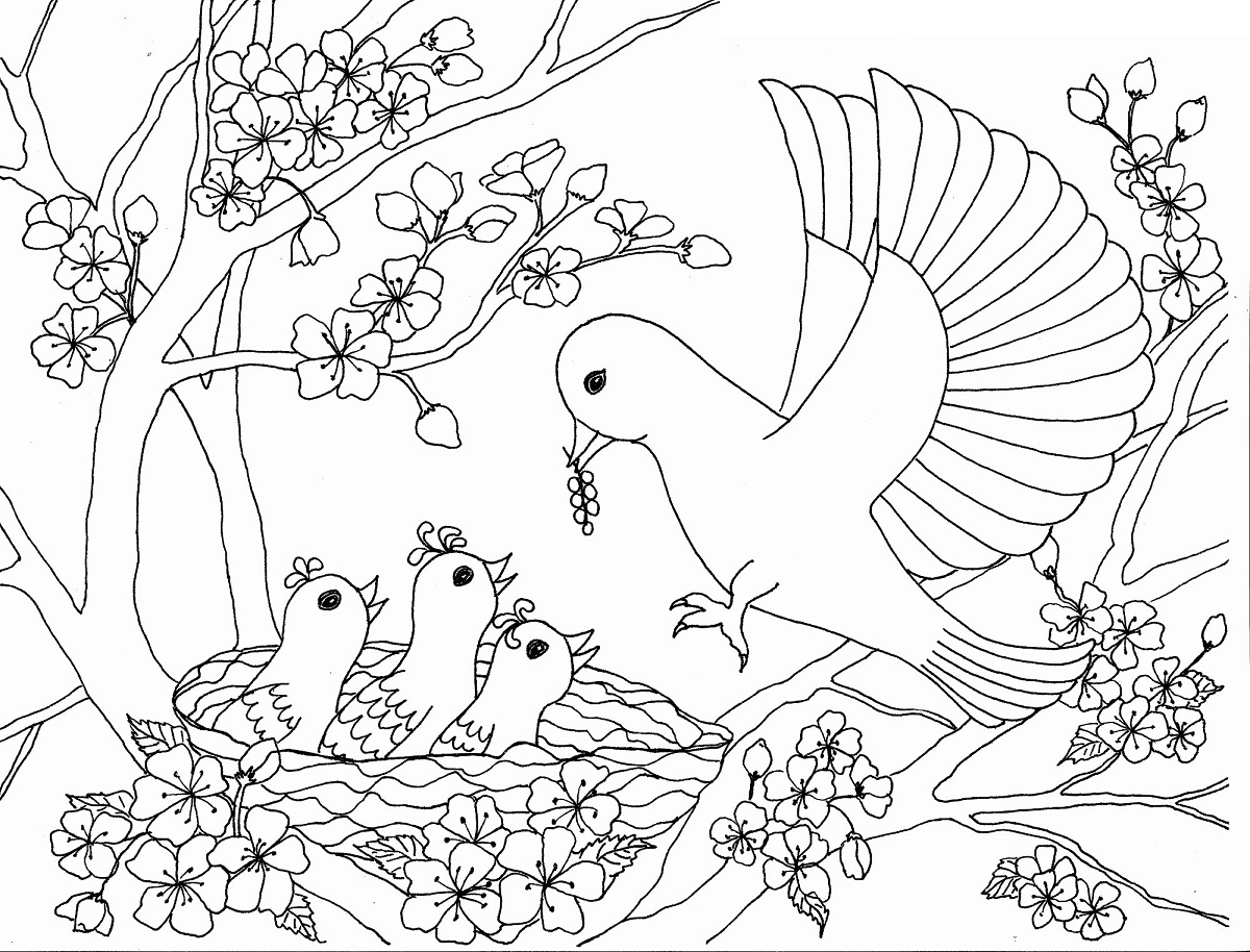 Desenho de Pássaros no Ninho para Imprimir Grátis