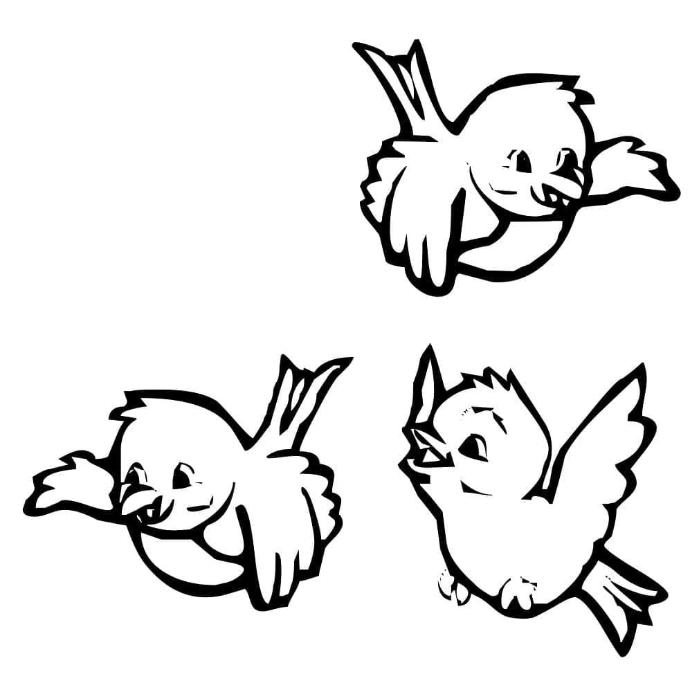 Desenho de Três Passarinhos para Colorir