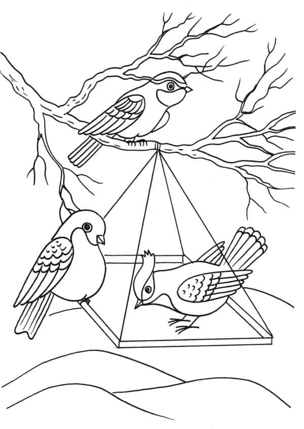 Desenho de Três Pássaros para Colorir