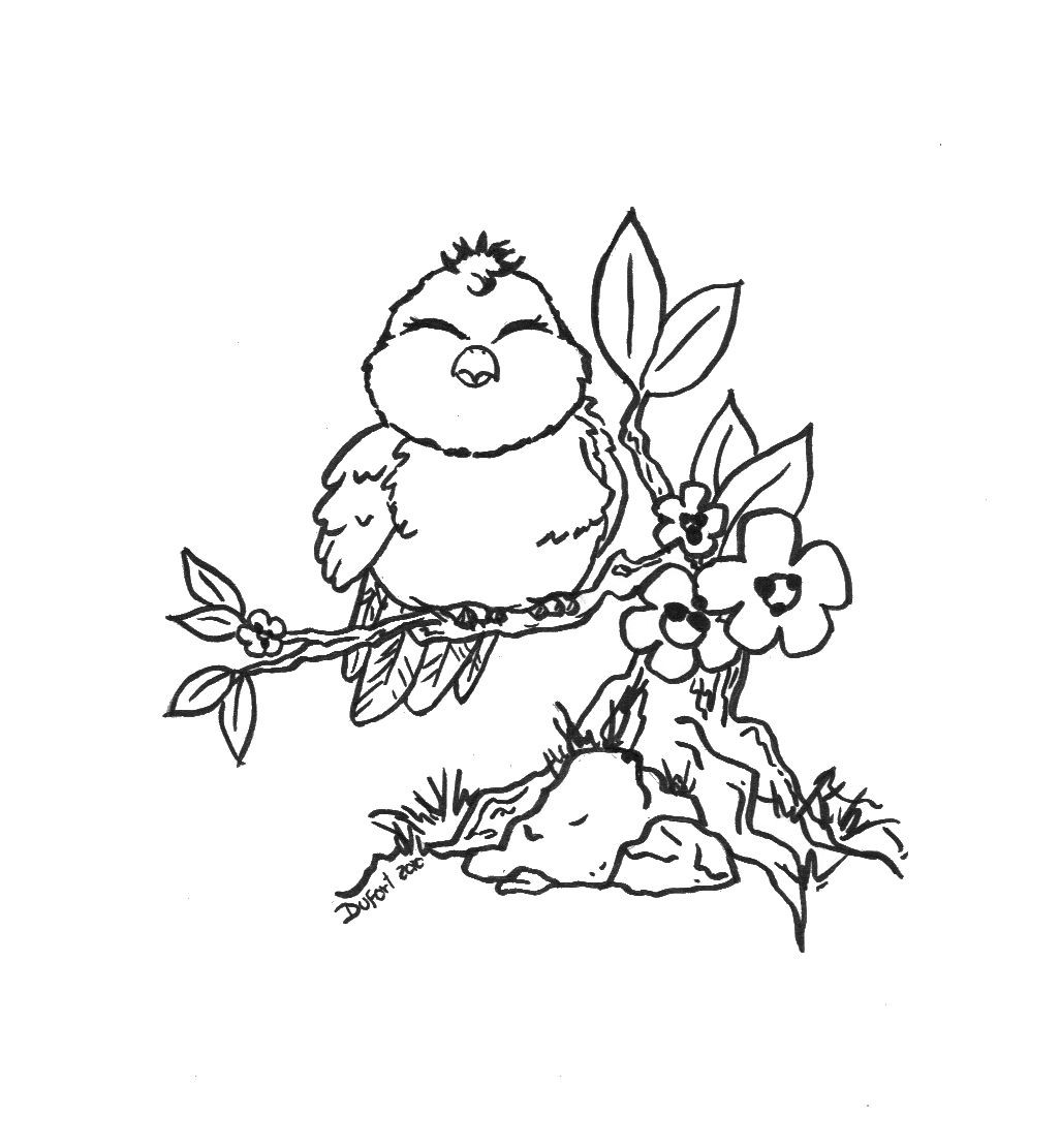 Desenho Pássaro Baixar Grátis para Colorir